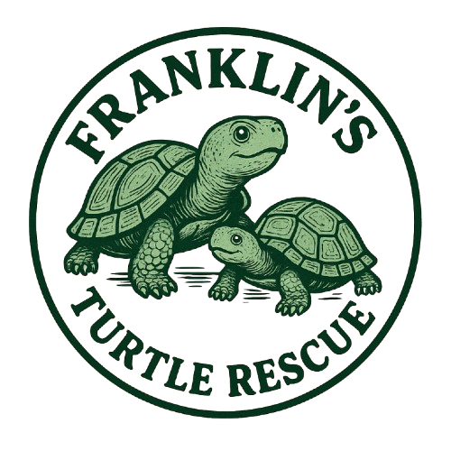 FRANKILNS TURTLE RESCUE
